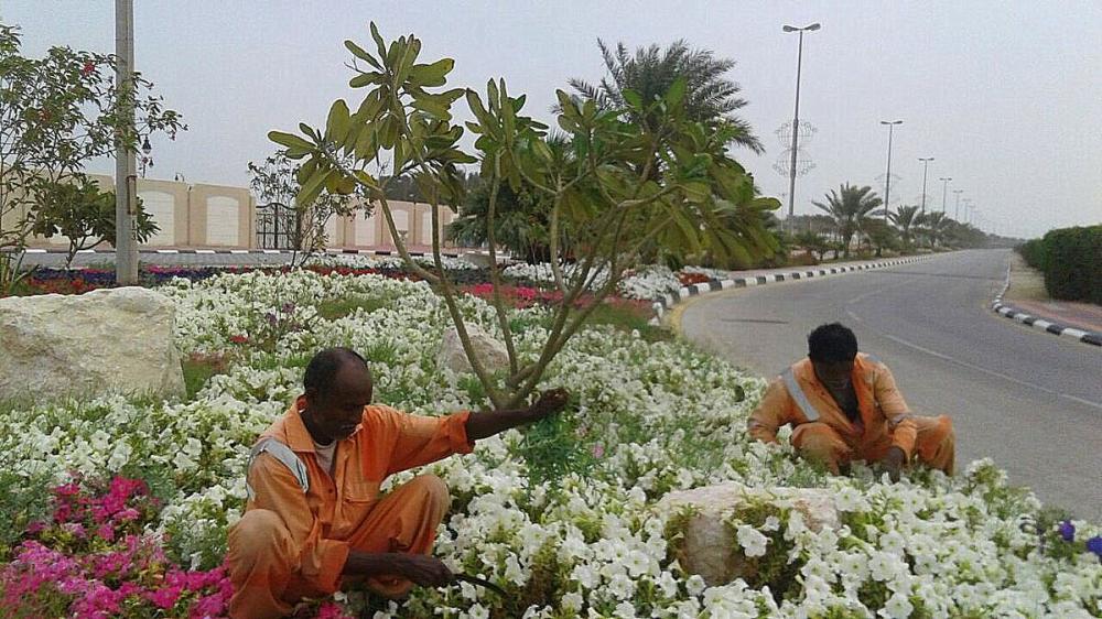 حملة لتنظيف وإزالة المخلفات بكورنيش رأس تنورة