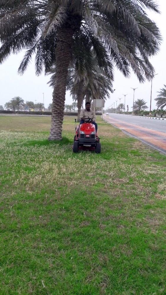 حملة لتنظيف وإزالة المخلفات بكورنيش رأس تنورة