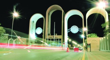 جامعة الملك فيصل تكتشف الصفات الوراثية للإبل العربية