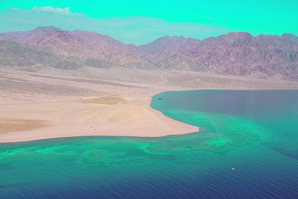 تحالفات سعودية عالمية مرتقبة لمشروعي نيوم والبحر الأحمر