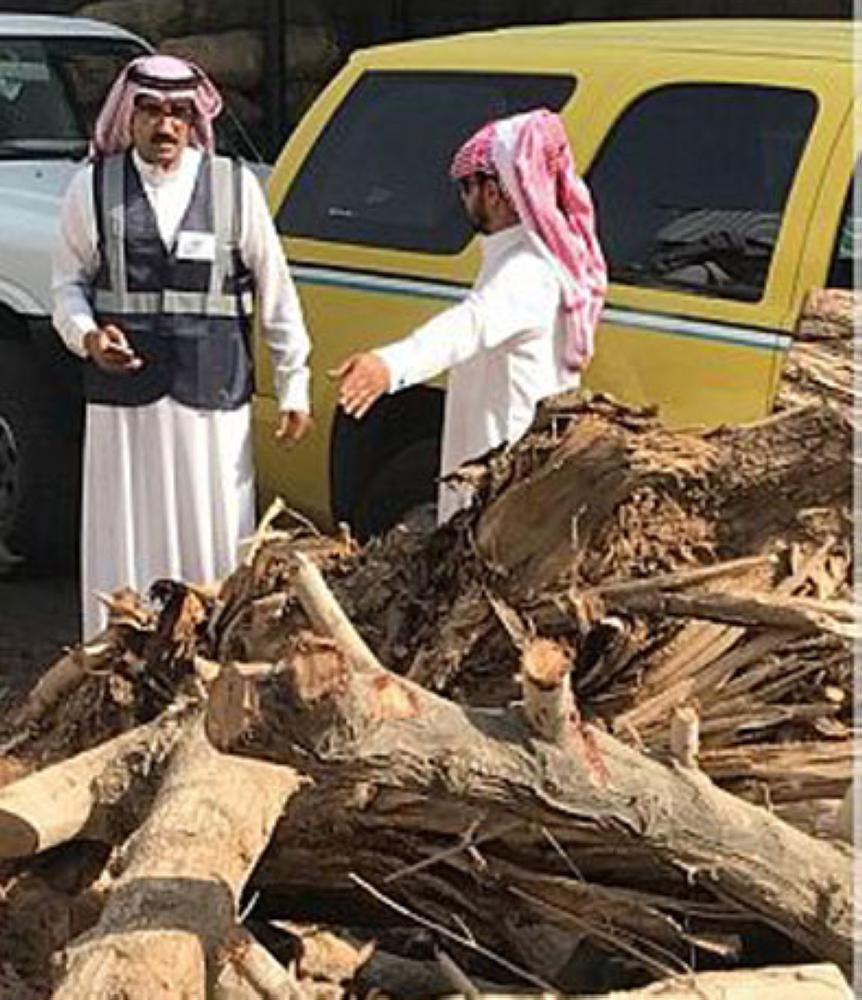 ضبط 46 طنا من الحطب المحلي في سوق 