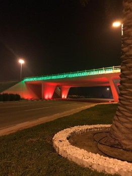 بالصور.. الشرقية تتزين بألوان الإمارات