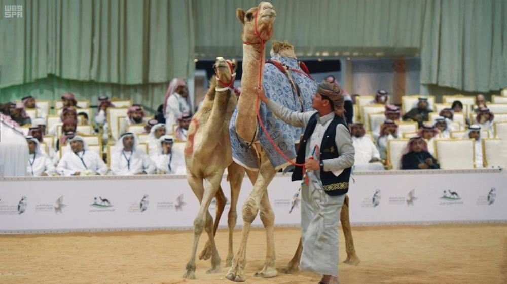900 ألف ريال مبيعات مزاد الهجن في معرض الصقور 