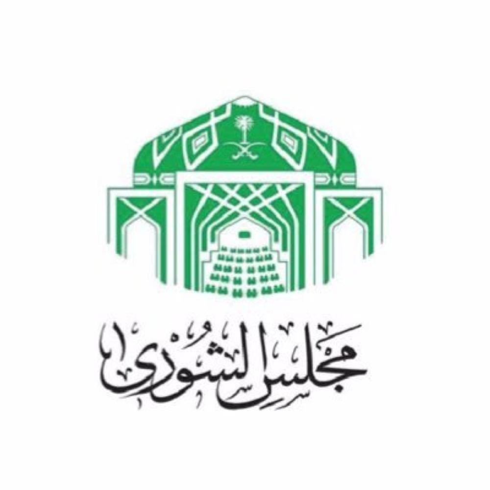دور شباب الأعمال في التنمية .. جلسة حوارية بـ«الشورى»