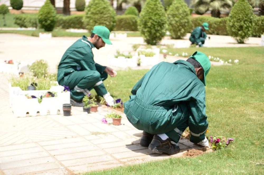 النزلاء يغرسون 5 آلاف وردة في محيط مبنى الداخلية