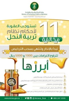 «البيئة» تحدد 11 مخالفة تستوجب العقوبة في تربية النحل