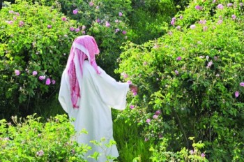 «الورد الطائفي» فوائد صحية وشهرة عالمية