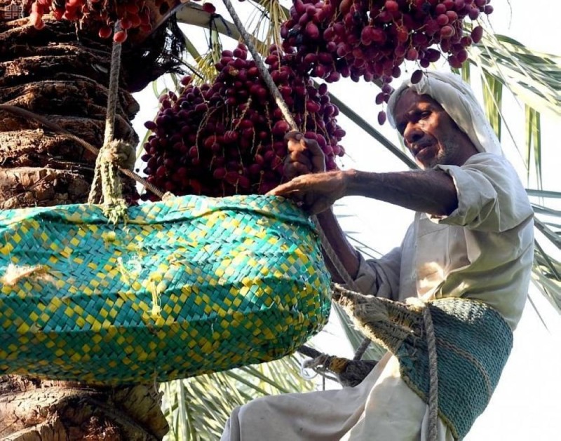 أسواق القطيف تبدأ في استقبال 