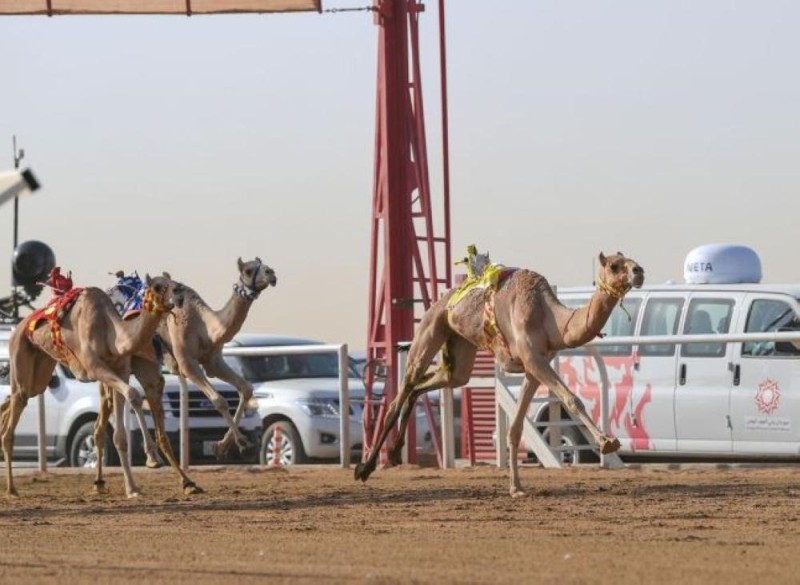 سفير الإمارات : نجاح مهرجان ولي العهد للهجن هو نجاح للإمارات