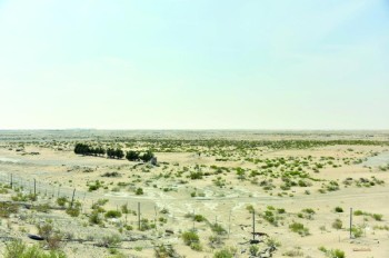 بدء التسجيل للحصول على ترخيص موقع بالمخيم البري بالدمام