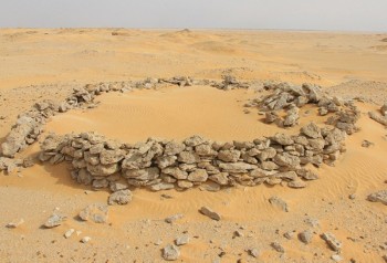 «يبرين».. حكايات تروي تاريخ مكان وبشر