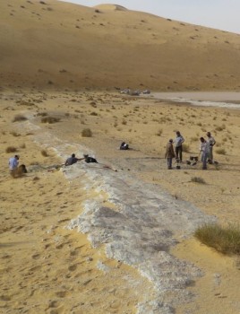 اكتشافات أثرية لأنهار وغابات بالمملكة منذ 5 آلاف عام