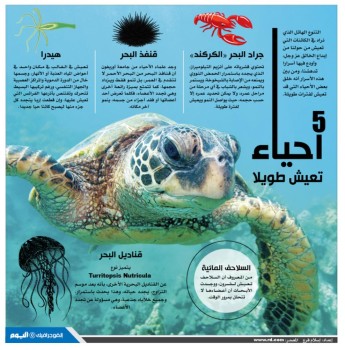5 أحياء تعيش طويلاً