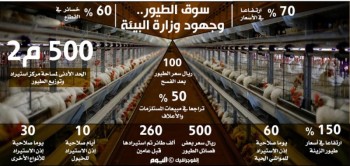 بعد خسائر 60 %.. انفراج أزمة محلات الطيور بالشرقية