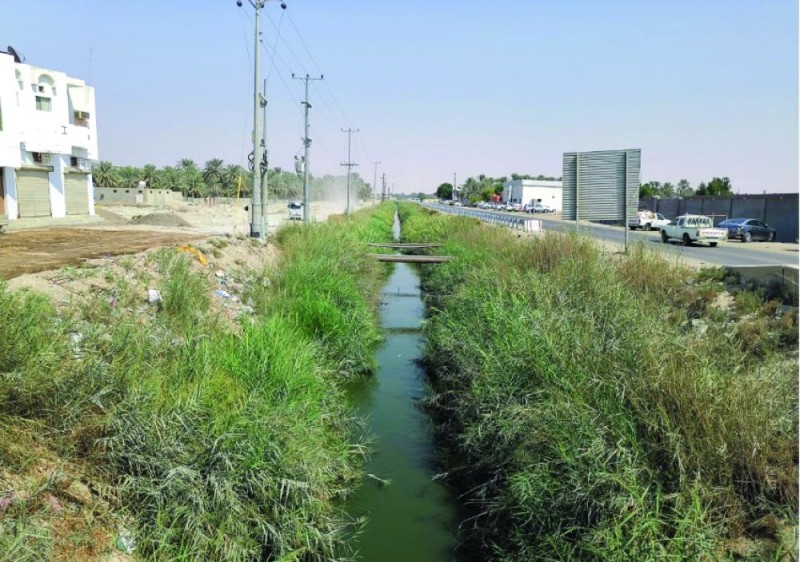 تطوير طرق الأحساء الزراعية..أولوية لا تحتمل التأخير
