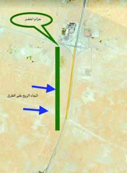 السمر والغضا والطلح لا ترهق المياه وتعيد صحراء الدمام خضراء