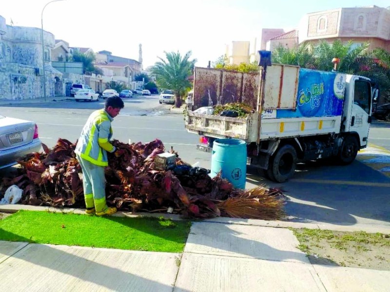 أحياء الظهران تتخلص من مخلفات الأشجار والنخيل