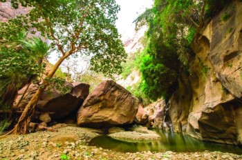 «وادي لجب» شاهد على عصر الانكسار الإفريقي
