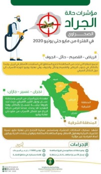"البيئة": "الجراد الصحراوي" في المملكة تحت السيطرة .. وفرق المكافحة جاهزة