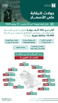 الشرقية الأولى.."التجارة" تنفذ 255 ألف جولة لرقابة الأسعار بجميع المناطق