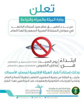 «البيئة» تعلن بدء تطبيق حظر صيد «الكنعد» في سواحل المملكة