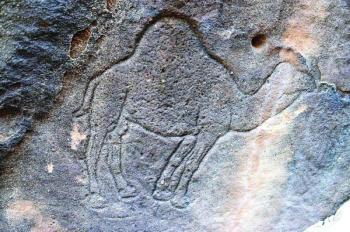 «أم سنمان».. واجهة تاريخية للأجيال