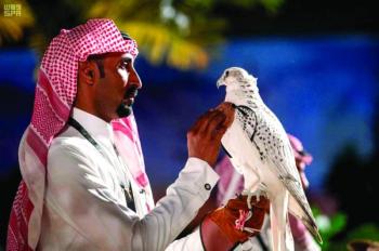 الصقور.. هيبة وجمال