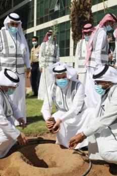 «لنجعلها خضراء».. حملة لزراعة 10 ملايين شجرة 