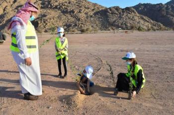 تدشين برنامج تشجير 500 ألف شتلة في حائل