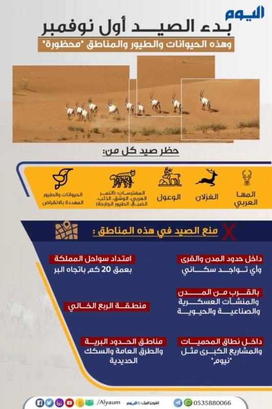 بدء الصيد أول نوفمبر وهذه الحيوانات والمناطق 