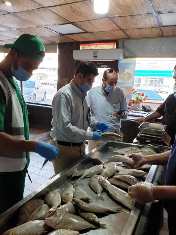 إتلاف 311 كيلو أسماك فاسدة برأس تنورة
