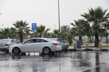 5 أيام أمطار رعدية وضباب على الشرقية