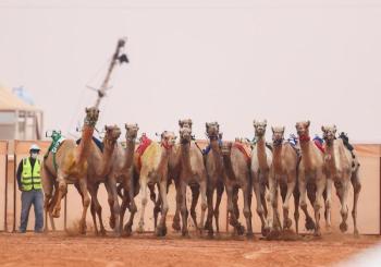 وزير الرياضة يتوج الفائزين في ختام منافسات سباق رماح للهج