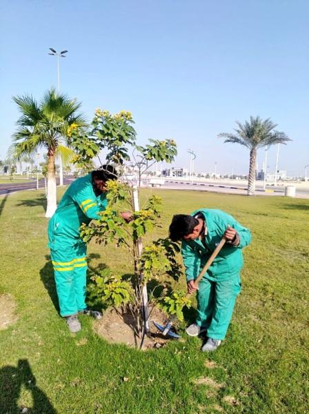 الظهران حديقة تلال أجمل 13