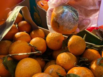 ضبط 3 طن يوسفي وخس فاسد قبل بيعها في الدمام 