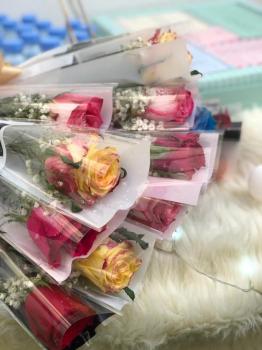 نساء «صم الشرقية» يحتفون بالمرأة في يومها العالمي 