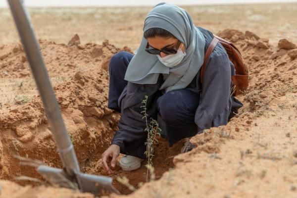 حملة تشجير محمية الملك عبدالعزيز تؤكد أهداف «مبادرة السعودية الخضراء»