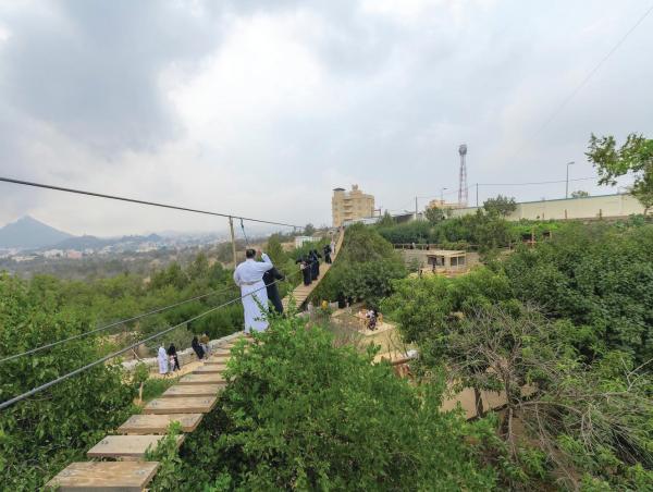 حديقة الجسر بلجرشي