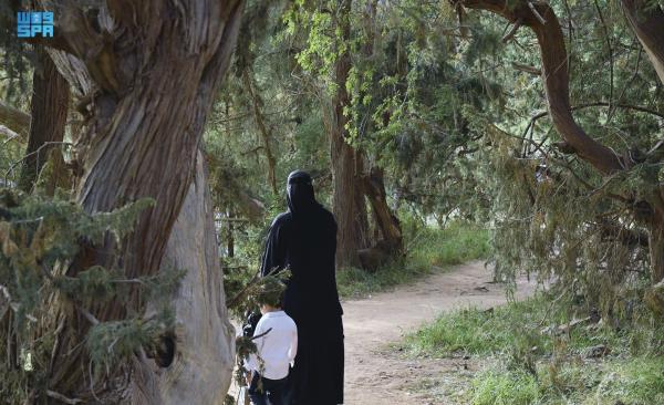 «متنزهات عسير».. جمال الطبيعة وروعة أجواء الصيف