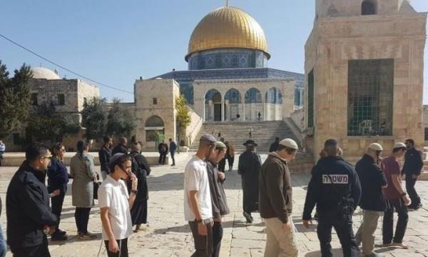 عشرات المستوطنين يقتحمون «الأقصى»