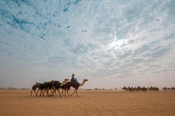 انطلاق مهرجان ولي العهد للهجن في نسخته الثالثة بالطائف ..غداً