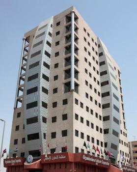 «التعاون الإسلامي» تؤيد إجراءات المملكة ضد إرهاب الحوثي
