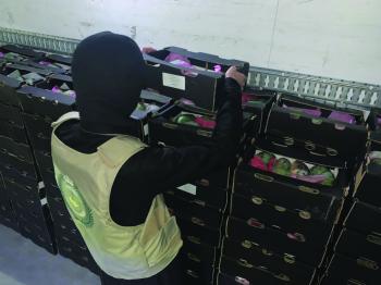 حرب المخدرات..7 إستراتيجيات لمكافحة التهريب ومنع التعاطي