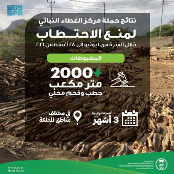 ضبط 2000 م3 من الفحم والحطب المحلي في 3 أشهر