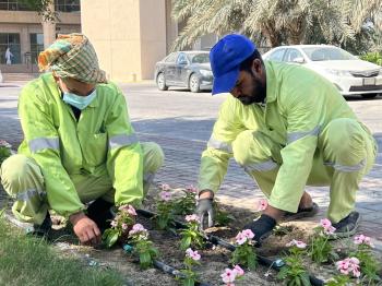 الاربعاء الاحساء سوق أمانة الأحساء