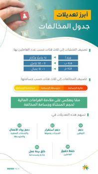 الدليل الاجرائي لبرنامج نطاقات المطور