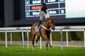 الجواد ستار اوف ونز يتوج بشوط كأس الأمير خالد بن عبدالله بن عبدالرحمن