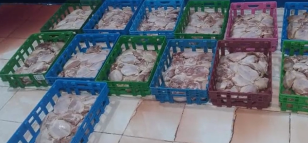 ضبط 1240 كجم لحوم مخالفة للاستهلاك بالدمام