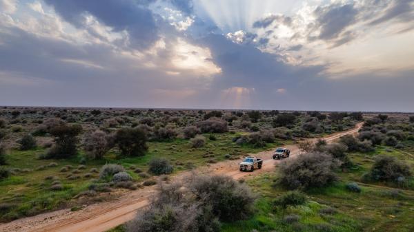 ضبط 3 مخالفين لقيامهم بالصيد دون ترخيص في جدة