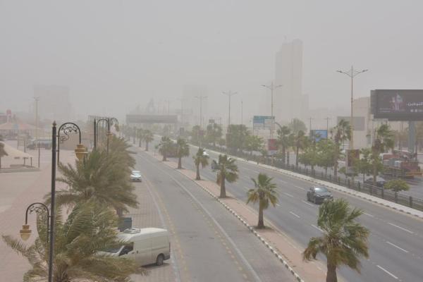 «الاستمطار» يسهم في تقليل العواصف الرملية وزيادة الغطاء النباتي